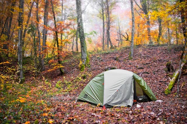 Tips on Keeping Your Eyes Healthy While Camping