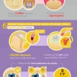 Eyes: A Window Into Your Health Infographic