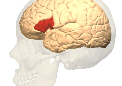 How Are the Eyes and Dyslexia Connected?