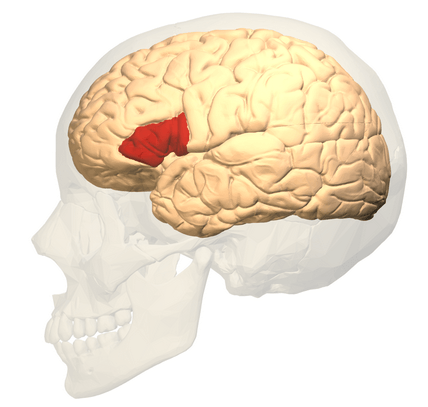 How Are the Eyes and Dyslexia Connected?