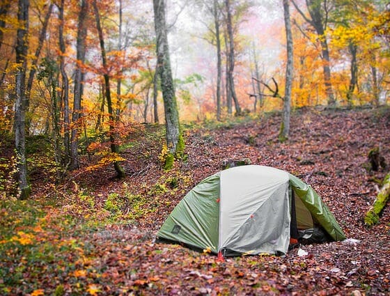 6 Tips on Keeping Your Eyes Healthy While Camping